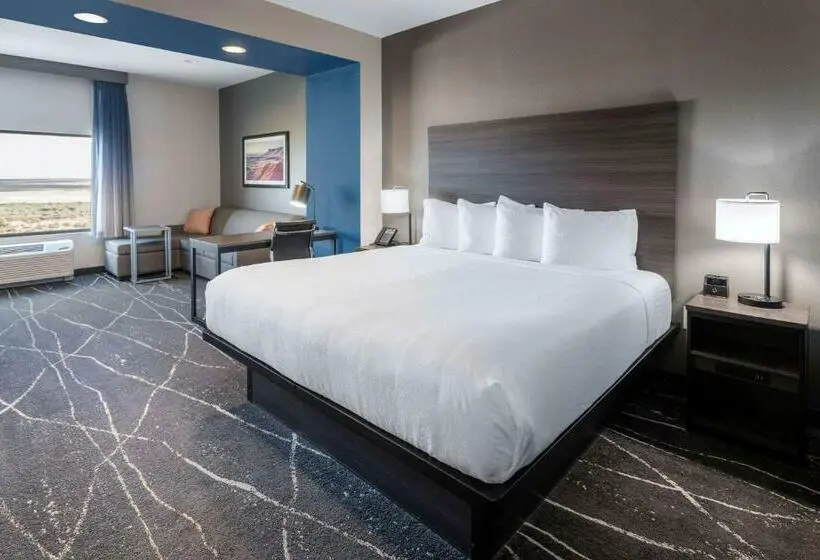 キングサイズベッドのデラックスルーム, La Quinta Inn & Suites By Wyndham Holbrook Petrified Forest