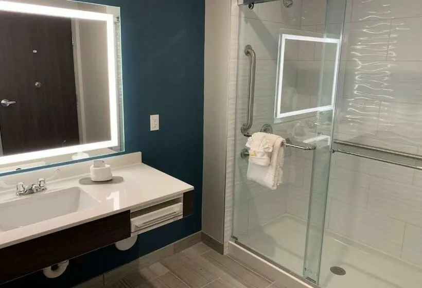 キングサイズベッドのデラックスルーム, La Quinta Inn & Suites By Wyndham Holbrook Petrified Forest
