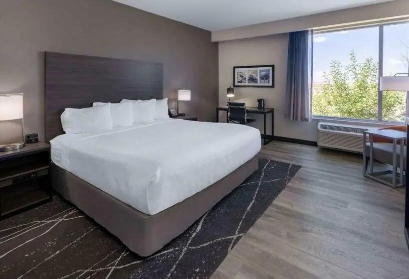 身障者適用キングサイズベッドルーム, La Quinta Inn & Suites By Wyndham Holbrook Petrified Forest