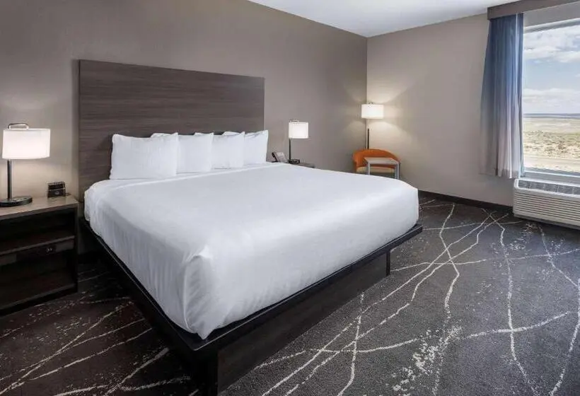 キングサイズベッドのスタンダードルーム, La Quinta Inn & Suites By Wyndham Holbrook Petrified Forest