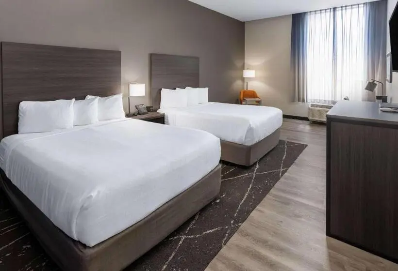 身障者適用スタンダードルーム, La Quinta Inn & Suites By Wyndham Holbrook Petrified Forest
