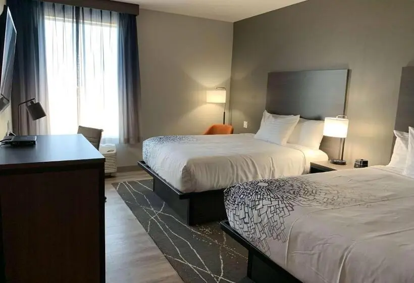 スタンダードルーム, La Quinta Inn & Suites By Wyndham Holbrook Petrified Forest