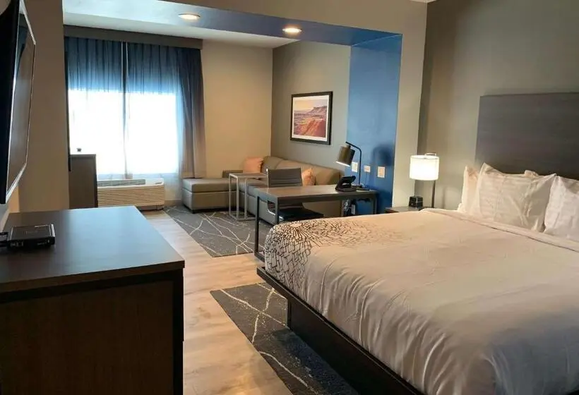 身障者適用スイートルーム, La Quinta Inn & Suites By Wyndham Holbrook Petrified Forest