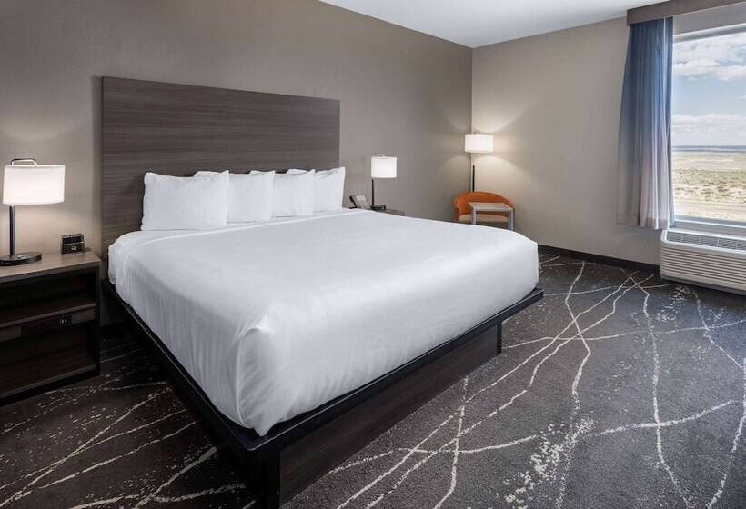 جناح لذوى الاحتياجات الخاصة, La Quinta Inn & Suites By Wyndham Holbrook Petrified Forest