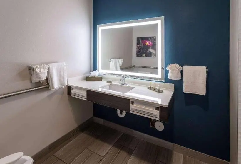 キングサイズベッドのデラックスルーム, La Quinta Inn & Suites By Wyndham Holbrook Petrified Forest