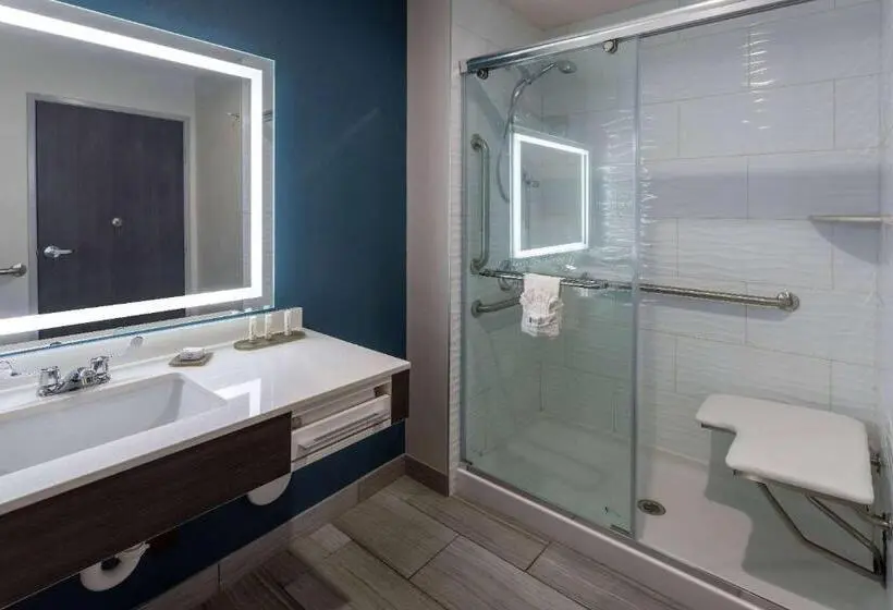 身障者適用キングサイズベッドルーム, La Quinta Inn & Suites By Wyndham Holbrook Petrified Forest
