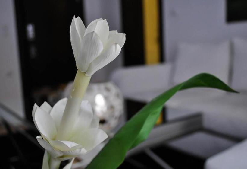 Suite avec Hydromassage, Andromeda Hotel Thessaloniki