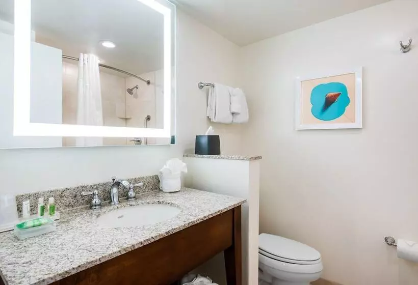 ダブルベッドスタンダードルーム, Holiday Inn Orlando – Disney Springs™ Area, An Ihg