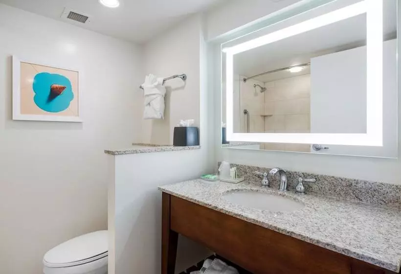 ダブルベッドスタンダードルーム, Holiday Inn Orlando – Disney Springs™ Area, An Ihg