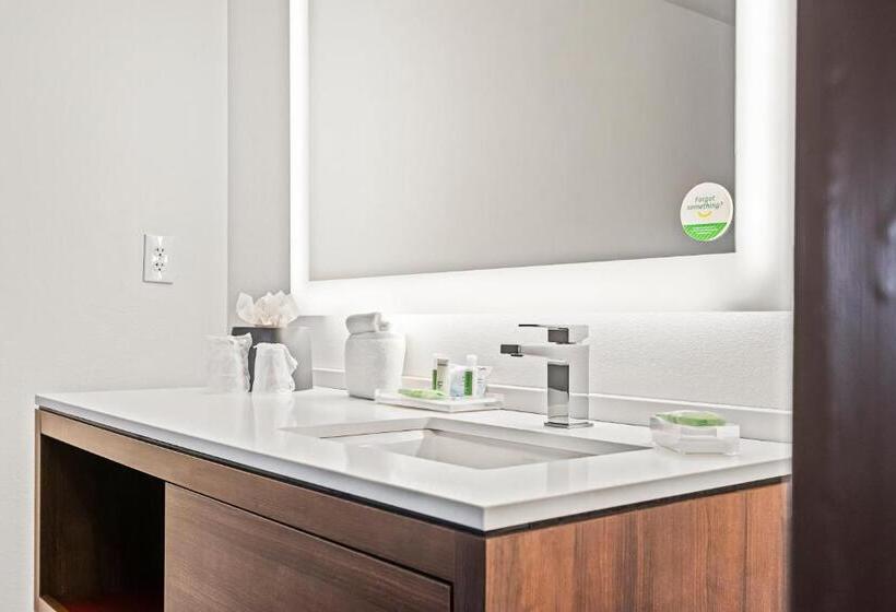 Номер Deluxe Кровать Кинг, Holiday Inn   St. Petersburg West, An Ihg
