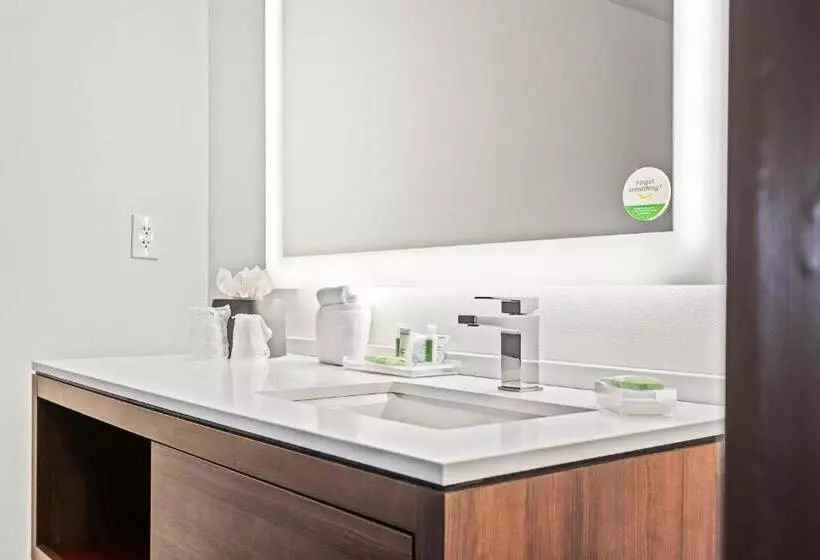 キングサイズベッドのデラックスルーム, Holiday Inn   St. Petersburg West, An Ihg