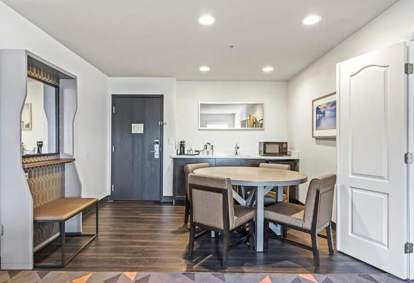 Люкс Кровать Кинг, Holiday Inn St. Petersburg West, An Ihg