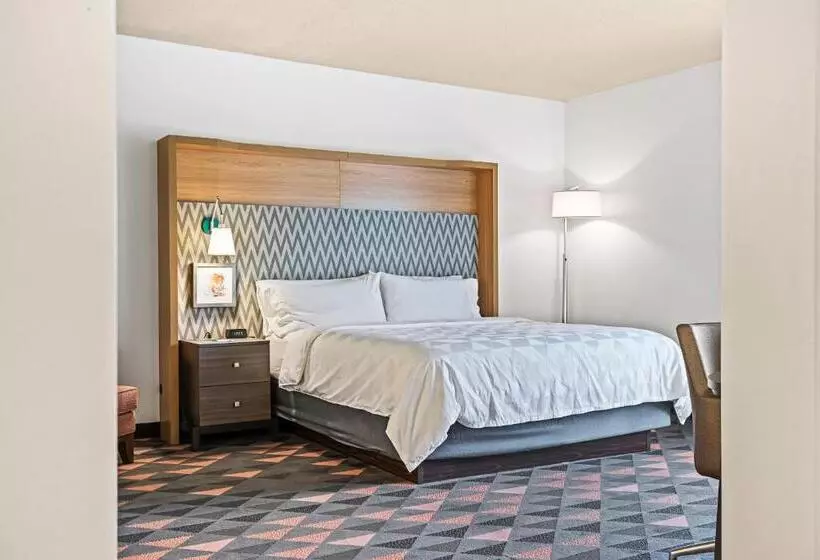 身障者適用キングサイズベッドルーム, Holiday Inn   St. Petersburg West, An Ihg