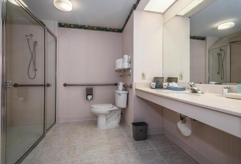 Номер Стандарт Кровать Кинг Адаптированный для Инвалидов, Holiday Inn   St. Petersburg West, An Ihg
