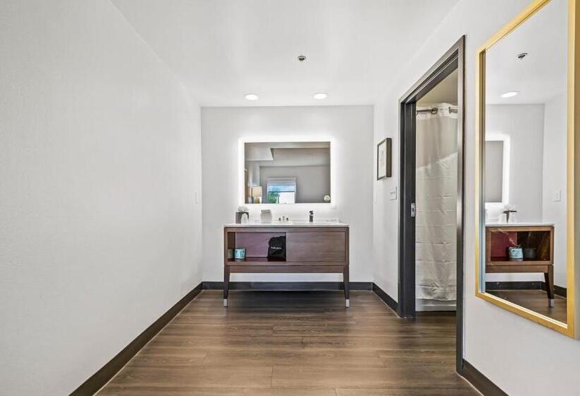 Люкс Адаптированный для Инвалидов, Holiday Inn St. Petersburg West, An Ihg