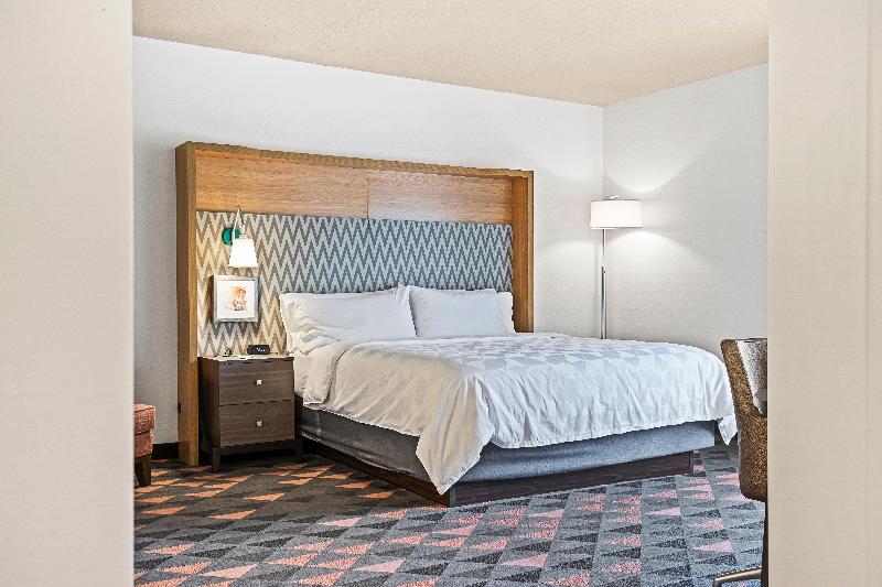 Номер Стандарт Кровать Кинг Адаптированный для Инвалидов, Holiday Inn St. Petersburg West, An Ihg