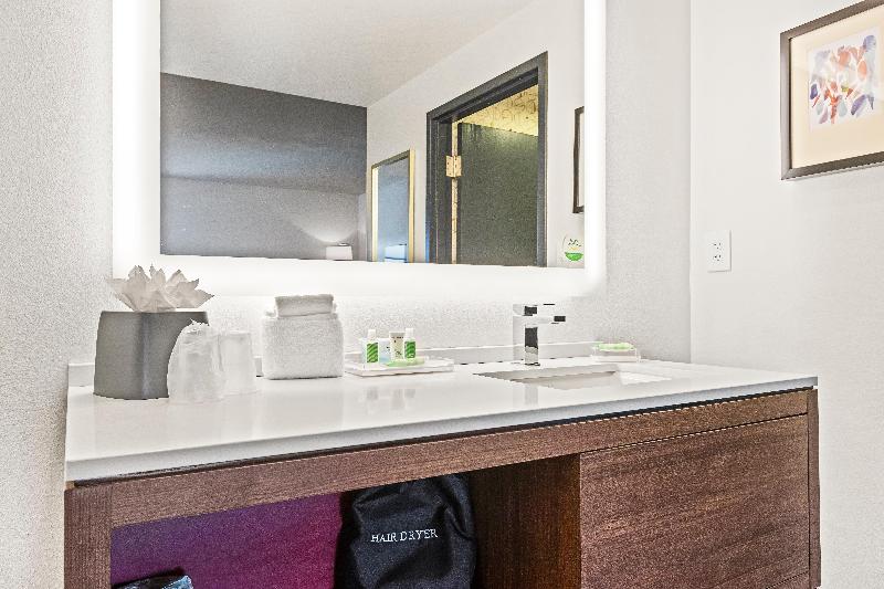 Люкс Адаптированный для Инвалидов, Holiday Inn St. Petersburg West, An Ihg