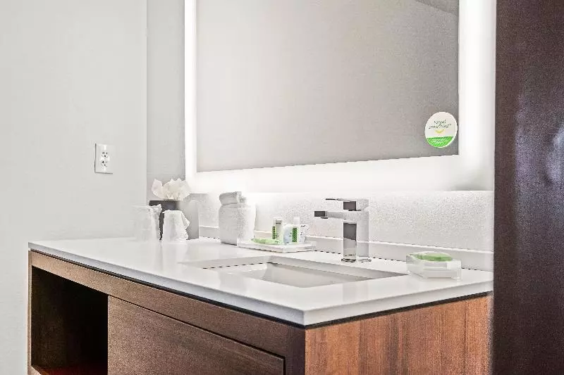 キングサイズベッドのデラックスルーム, Holiday Inn   St. Petersburg West, An Ihg