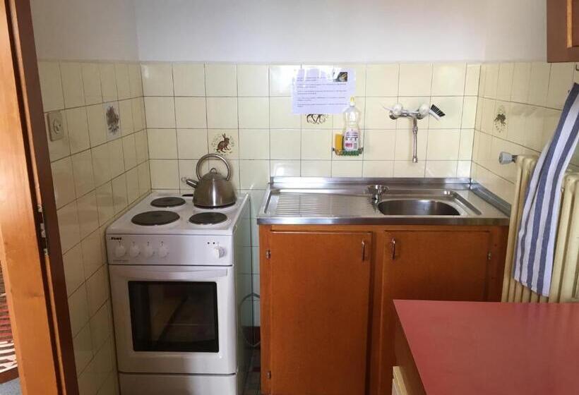 شقة غرفة واحدة, Hôtel Ecureuil Villars