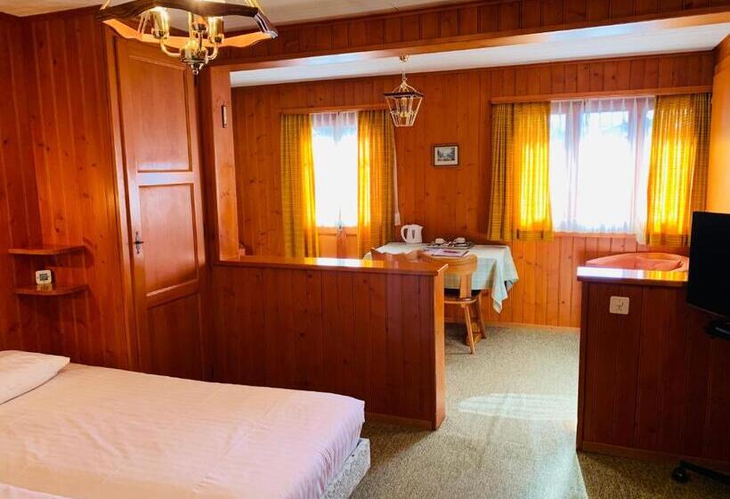 Номер Стандарт, Hôtel Ecureuil Villars