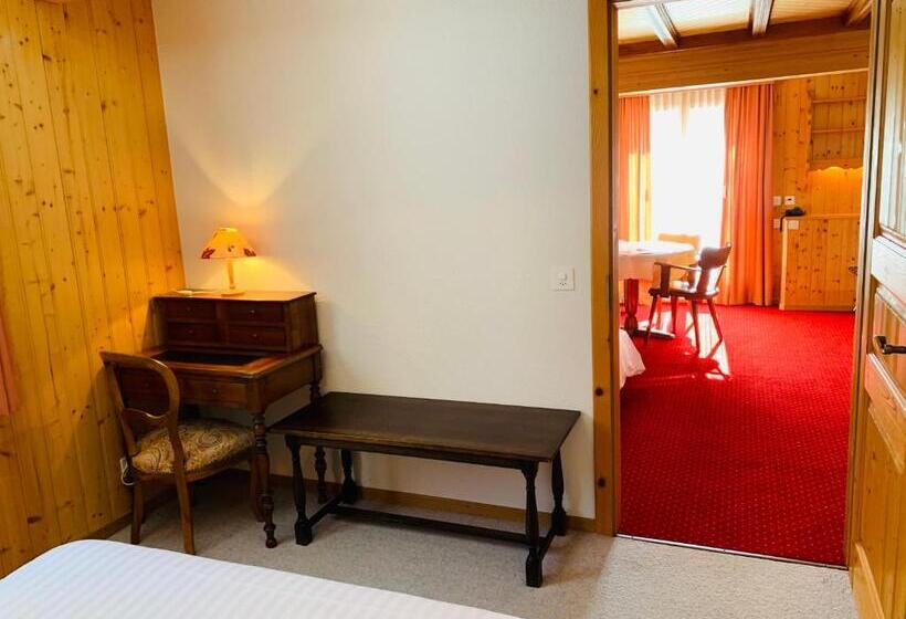 Студия Стандарт, Hôtel Ecureuil Villars