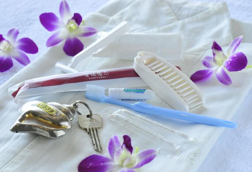 带观景的标准间, Okinawa Kariyushi Beach Resort Ocean Spa