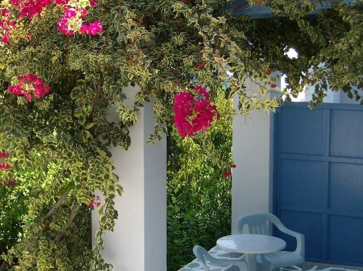 Quarto Estandar, Panorama Paros