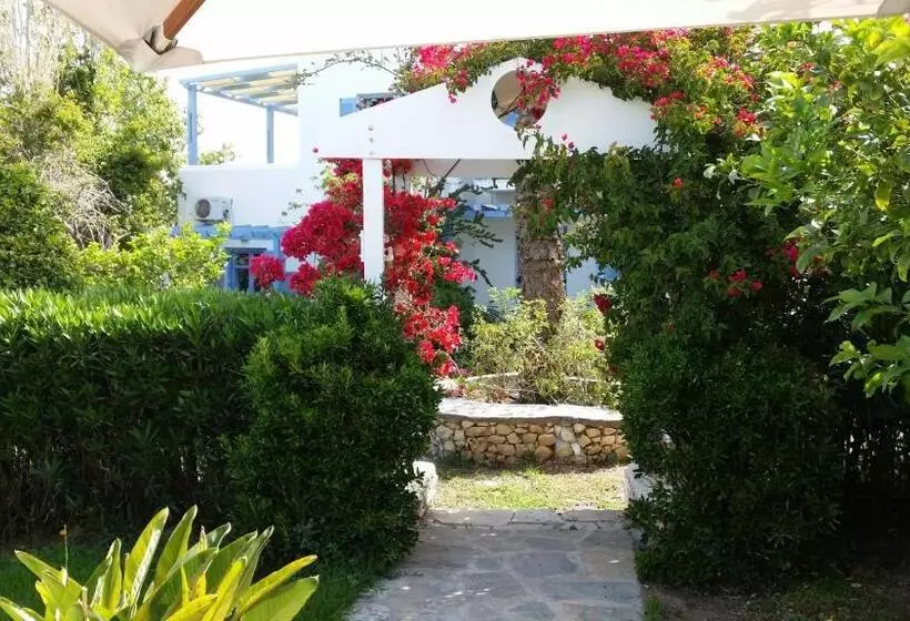 اتاق استاندارد سه نفره, Panorama Paros