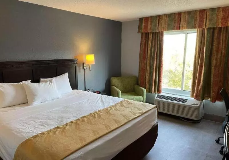 سوییت جونیور, Tamarix Del Mar Suites