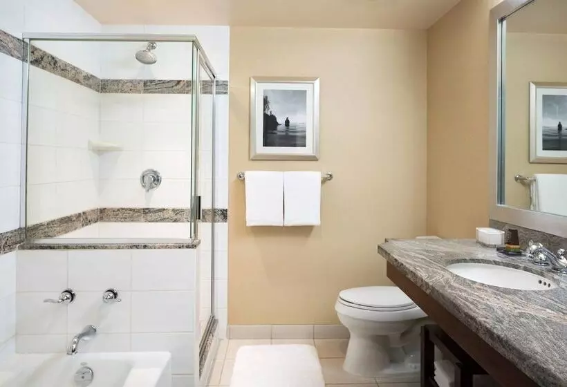 اتاق استاندارد با تخت دوبل و چشم‌انداز, Vancouver Marriott Pinnacle Downtown