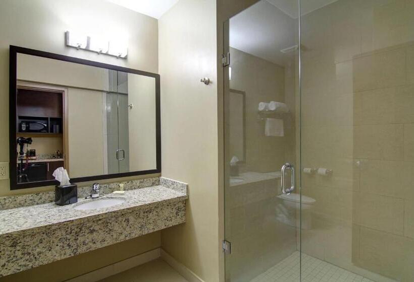 Стандартный Номер Кровать Кинг, Best Western Plus Bowmanville