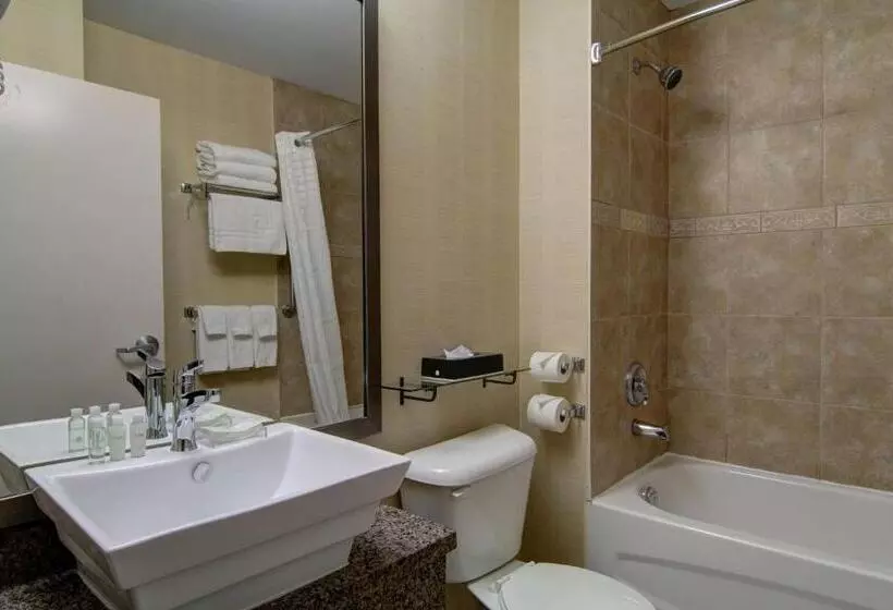 スタンダードルーム, Best Western Plus Bowmanville