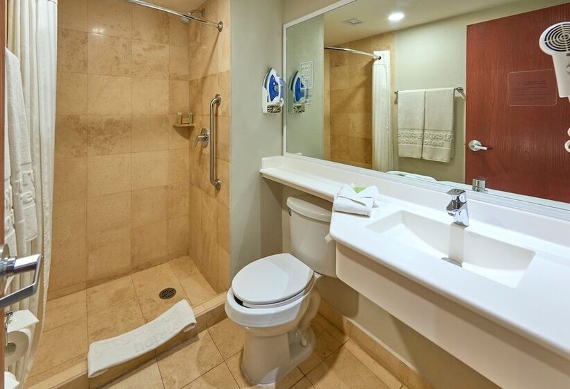 带2个双人床的标准工作室, City Express By Marriott Ciudad Juárez