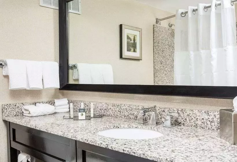 ２ダブルベッドのスタンダードルーム, Doubletree By Hilton Hotel Wilmington
