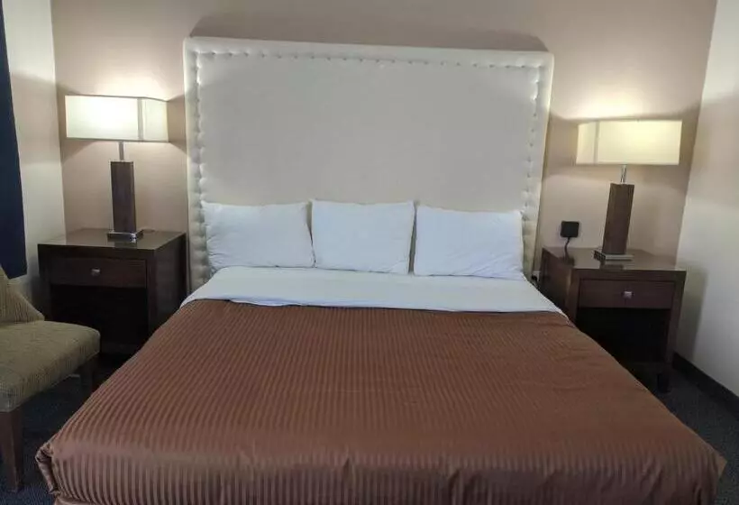 اتاق استاندارد با تخت بزرگ, Falls Lodge & Suites