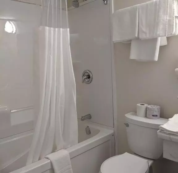 اتاق استاندارد با تخت بزرگ, Falls Lodge & Suites