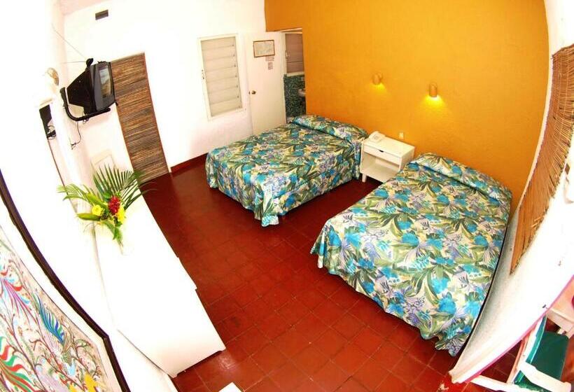 חדר סופריור, Flamingos