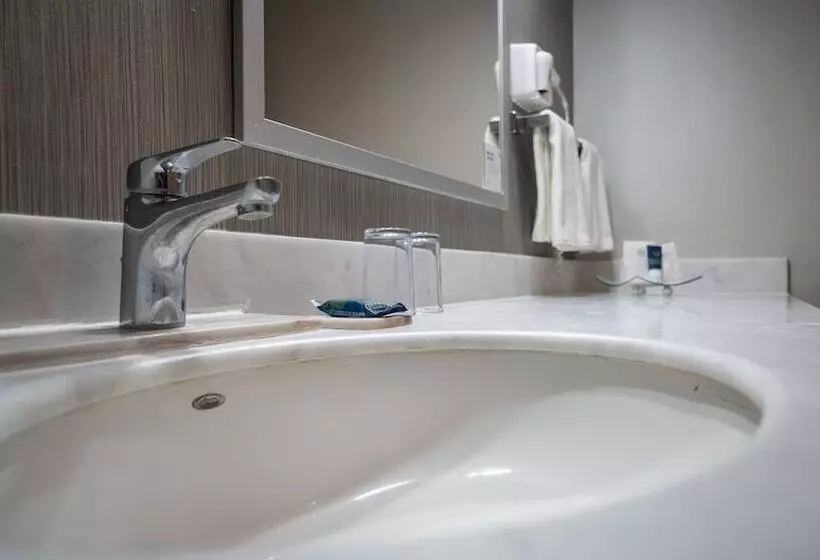 ダブルベッドのクラシックルーム, Four Points By Sheraton Saltillo