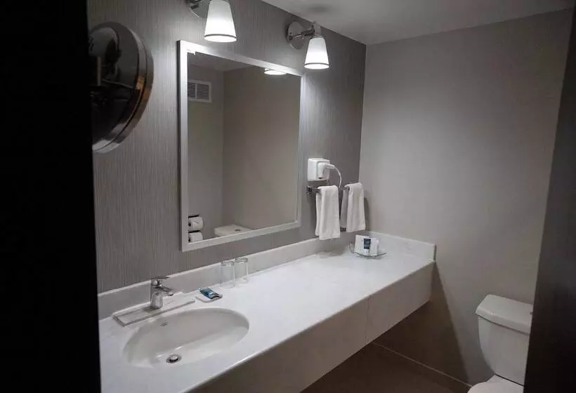ダブルベッドのクラシックルーム, Four Points By Sheraton Saltillo