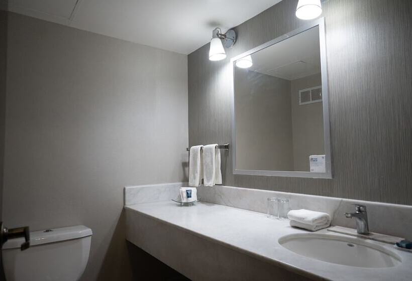 غرفة كلاسيكية سرير مزدوج, Four Points By Sheraton Saltillo