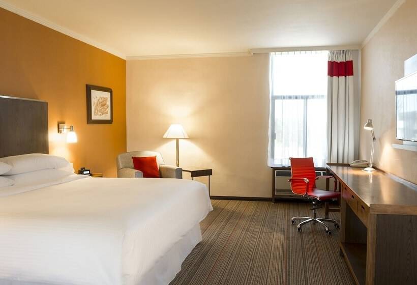 חדר קלאסי מיטה זוגית, Four Points By Sheraton Saltillo