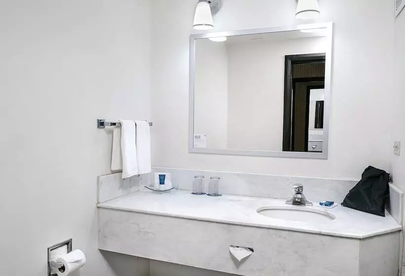 デラックスルーム, Four Points By Sheraton Saltillo