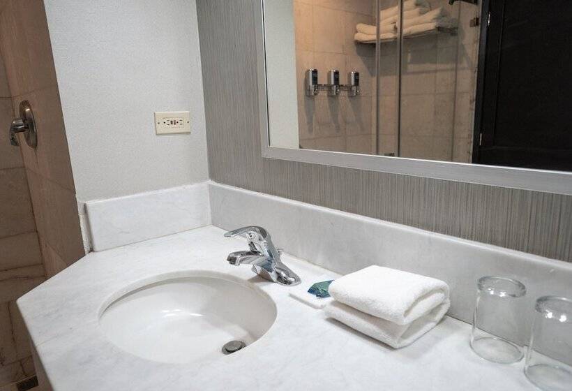 חדר דלוקס, Four Points By Sheraton Saltillo