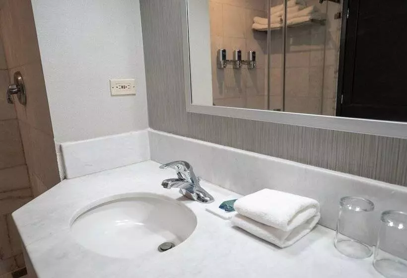 デラックスルーム, Four Points By Sheraton Saltillo
