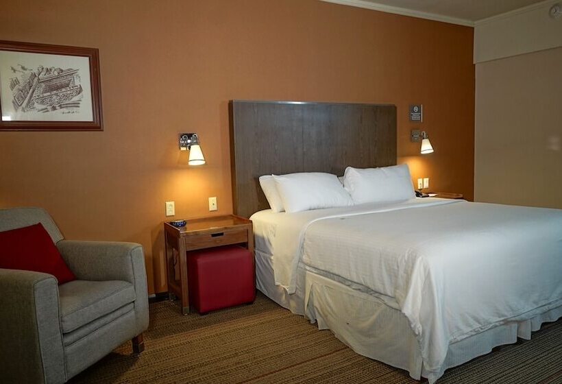 ダブルベッドのクラシックルーム, Four Points By Sheraton Saltillo