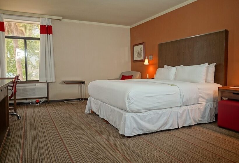 غرفة كلاسيكية سرير مزدوج, Four Points By Sheraton Saltillo