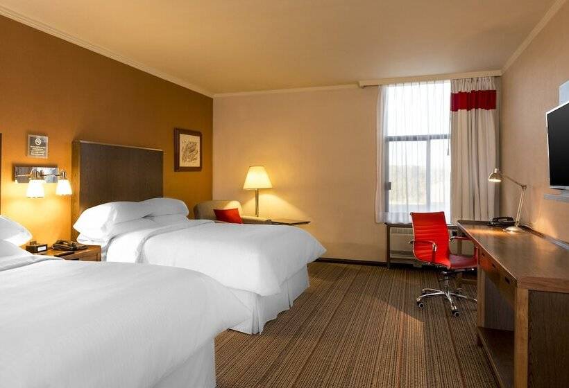 デラックスルーム, Four Points By Sheraton Saltillo