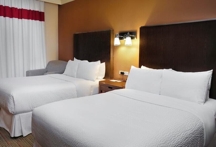 חדר דלוקס, Four Points By Sheraton Saltillo