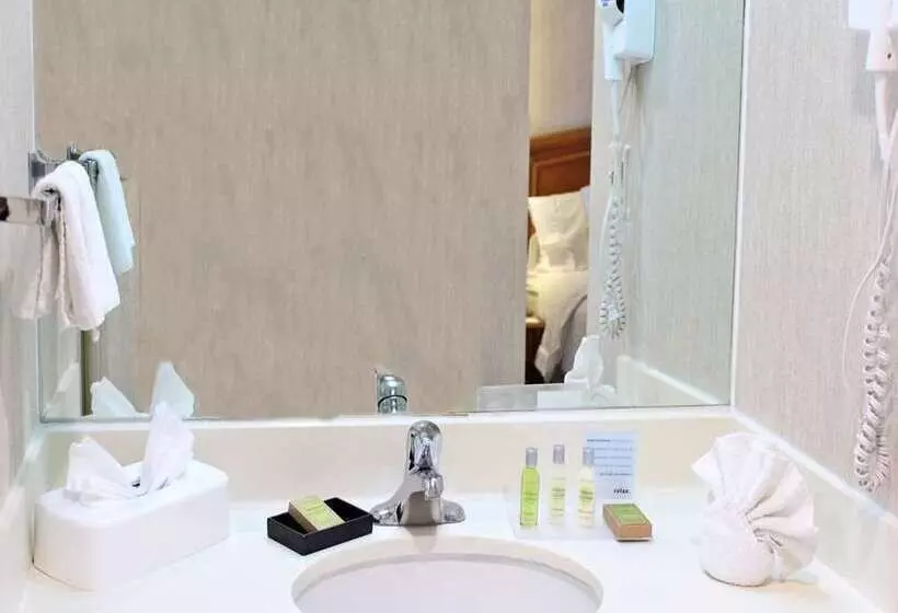 سوئیت با تخت بزرگ, Hampton by Hilton Saltillo