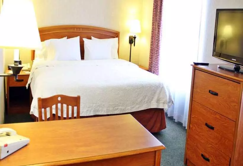 سوئیت با تخت بزرگ, Hampton by Hilton Saltillo